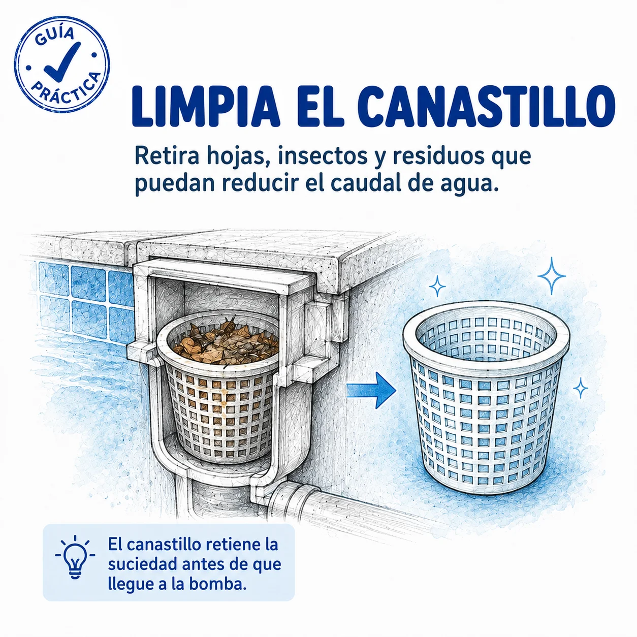 Limpieza del canastillo del skimmer