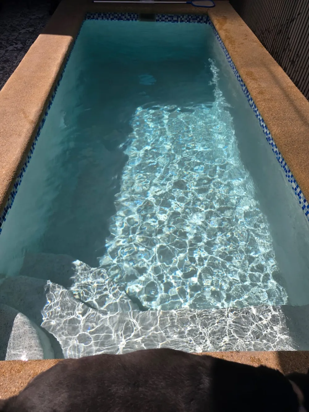 Piscina de casa con agua cristalina mantenida por RedPiscinas en La Florida