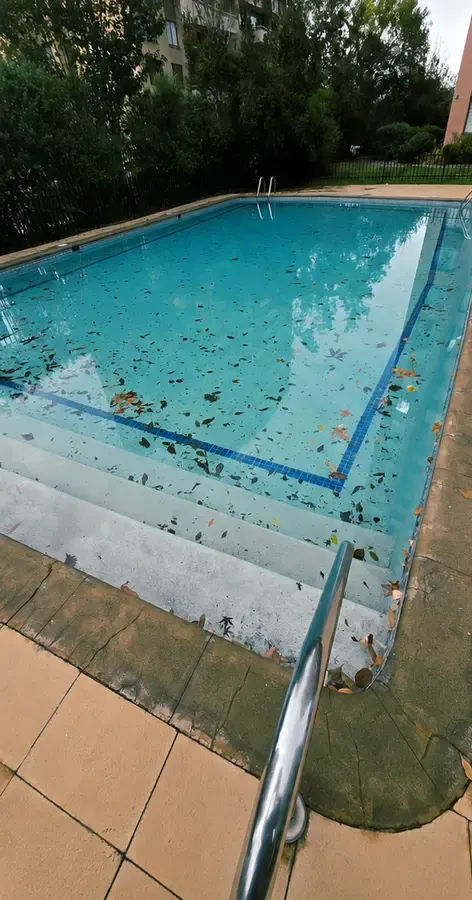 Piscina con hojas y suciedad antes de la mantención