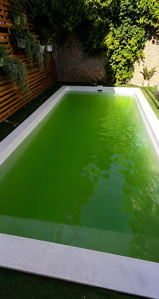 Piscinero agua verde Santiago — atención de piscina con agua verde