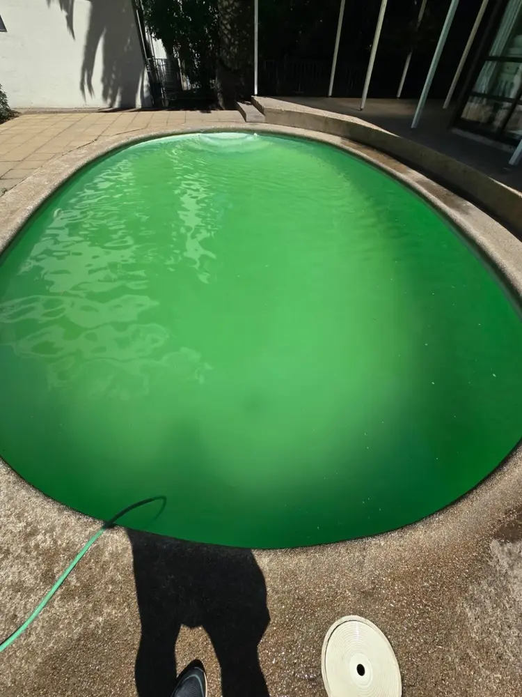 Piscina de condominio con agua verde antes del tratamiento de recuperación